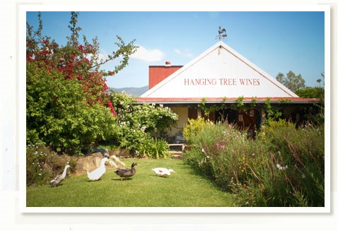 hanging tree wines close to the cottage hunter valley